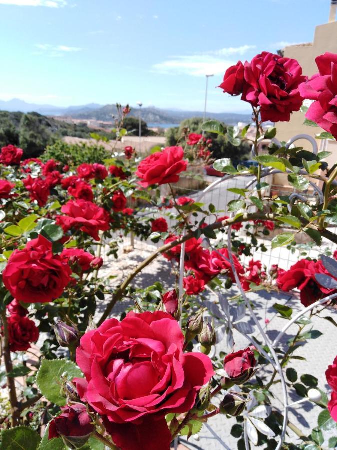 Bed and Breakfast The Roses Garden La Maddalena  Esterno foto