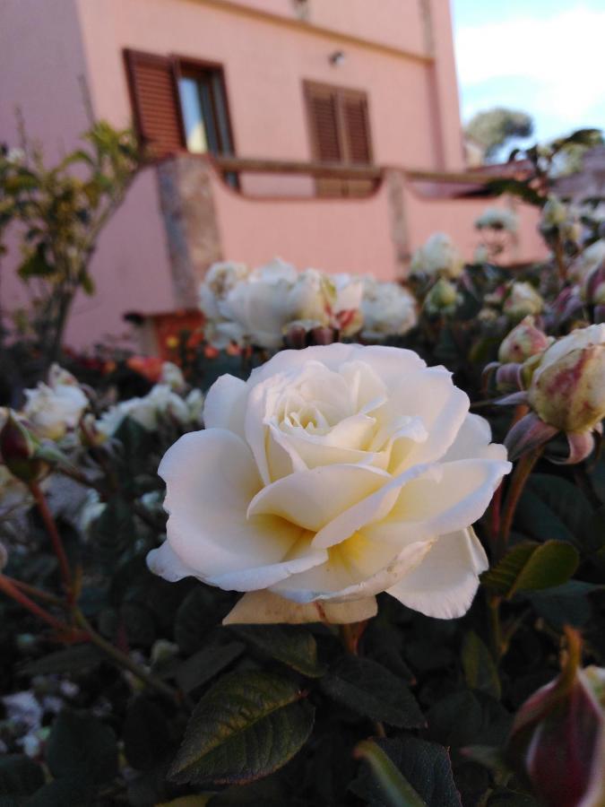 Bed and Breakfast The Roses Garden La Maddalena  Esterno foto